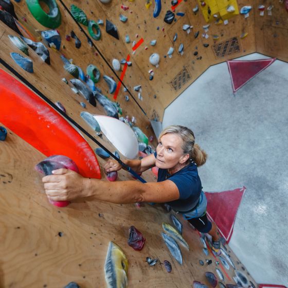Individual climbing for beginners in Kranj