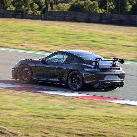 Race Taxi with a Porsche GT4 RS on Grobnik Racetrack