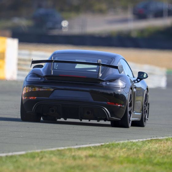 Race Taxi with a Porsche GT4 RS on Grobnik Racetrack