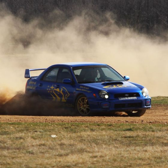 Rallye fahren im Subaru WRX STI in Sopron