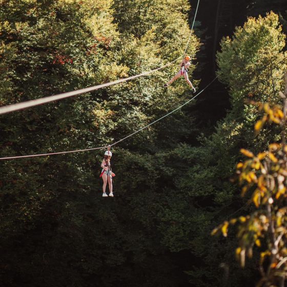 Zipline Čebelji let - Malečnik