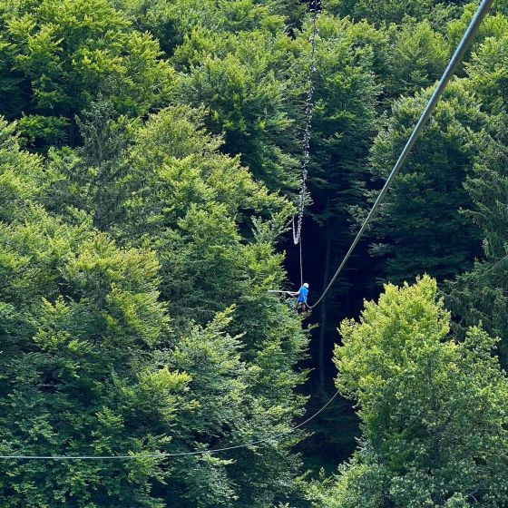 Zipline Čebelji let - Malečnik