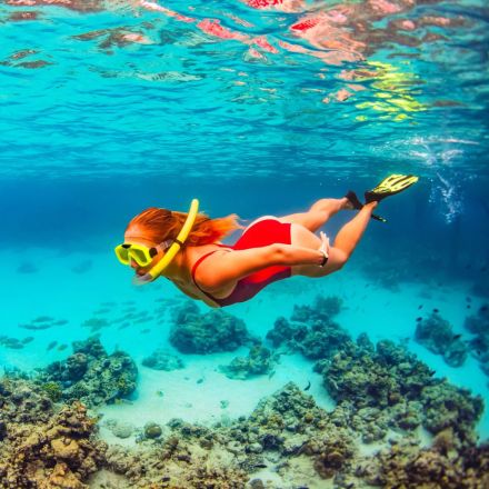 Snorkeling serale a Pirano